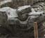 Copan Structure 11